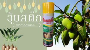 สเปร์ยดักแมลงวันทอง 600ml ฮุยสติ๊ก แมลงวันผลไม้ สเป สารล่อ แมลงวันทอง