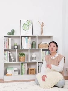 Small Multi-layered Bookshelf