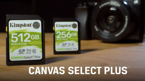 Kingston Canvas Select Plus SD 100MB/s Class 10 UHS-I Card SDS2 ( 64GB / 128GB / 256GB / 512GB )