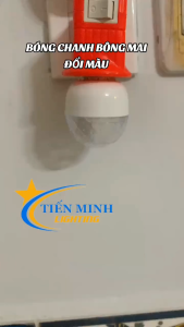 BÓNG CHANH BÔNG MAI ĐỔI MÀU CAO CẤP 3W DÙNG LÀM ĐÈN TRANG TRÍ DÙNG ĐUI E27 CHUYÊN DỤNG