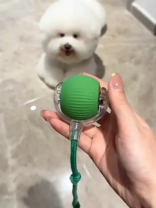 Pet Electric Toy LED light Colorful Gradient light Auto Running Catching Ball Interactive Toy [USB Charging] For Cats & Dogs