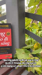 Sách - Quẳng Gánh Lo Đi & Vui Sống - Phiên Bản Đặc Biệt 2024 - Tiên Phong Books