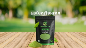 Gourmazia USDA Organic Soursop Leaves Powder – Shade-Dried Whole Graviola Leaves Single-Origin Sri Lanka Caffeine-Free Herbal Tea Ingredient Mild Flavor — 100g Resealable Stand-Up Pouch