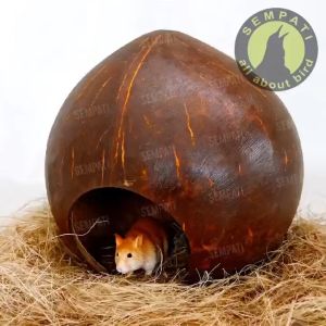 SEMPATI Sarang Hamster Batok Kelapa Coconut Natural Hiding Cave Sarang Rumah Mainan Hamster Sugar Glider Gecko Sarang Burung Lovebird Parkit GLHMS