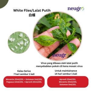 Advansia Apronil 4.76SC 500ml Racun Kutu Trip Lalat Putih Semut Anai-anai (Sama Regent 50SC Bayer) Fipronil 4.76% Thrips White Flies Ant Termite 蚂蚁 白蚁