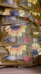 [THÙNG 100 gói] Hướng dương mỹ vị (Vị dừa Nguyên Vị Óc chó)100 gói 55g Hàng loại 1 date mới