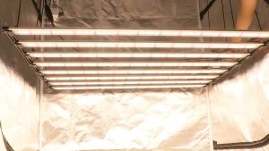 ไฟปลูกต้นไม้ 1000W 8 Bars Samsung lm282B LED Grow Light ฟังก์ชั่น Timing Full Spectrum