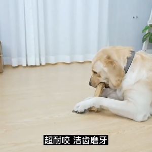 (1 CÂY) XƯƠNG DA BÒ NÂU CHO CHÓ XƯƠNG GẶM CHO CHÓ GẶM SẠCH MẢNG BÁM