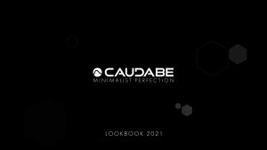 [ iPhone 15 Pro Max / Pro ] Readystock NEW VERSION Caudabe Synthesis - MagSafe Compatible with Button Cover