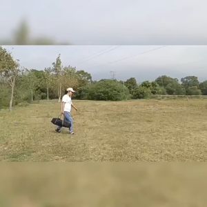 Mái Che cắm trại kiêm đậu Ô Tô Mái Vòm LIBERTY 210D PUF50+ Chịu được mọi thời tiết - hàng cao cấp - Home and Garden