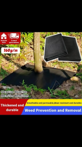 Agricultural Weed Control Mat Water Permeable Moisture Retentive Weed Control Fabric for Greenhouses