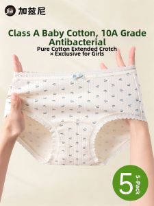JIAZINI | Cotton Lightweight Tummy Control Antifungal High Aesthetics Womens Underwear