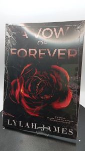 A Vow Of Hate & A Vow Of Forever by Lylah Jame