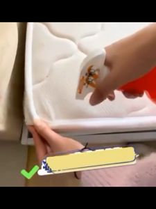 Effective Odorless Insecticide: Bed Bug Killer Spray & Dust Mite Insecticide