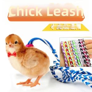 Pet Use Traction Rope Anti-slipout