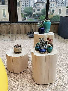 A Wooden Bench Solid Wood Flower Stand Wood a Block of Wood Or Stone Storage Rack Stool Log Flowerpot Base Tree Pile Nordic Simple Side Table Decoration