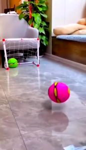 Magic Ball Ufo Bola Ajaib Y G5 | Mainan Anak Bola Injak Bisa Di Lempar Terbaru Mainan Viral Dan Bagus Kemasan Kantong | Flying Ball Mainan Edukatif Anak Mainan Menarik Dan Murah Tanpa Baterai Magic Ball Throw Toys