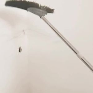 Chổi Quét Bụi Dạng Mạng Nhện Có Thể Kéo Dài Làm Từ Sợi Microfiber Dùng Cho Trần Nhà Tường Góc Cao Dụng Cụ Loại Bỏ Mạng Nhện Gia Dụng