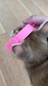 Interactive Feather Bell Cat Toy with New Collar Self-Entertainment Pet Supplies for Cats Neck Collar for Enhanced Playtime
