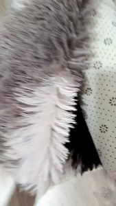 <𝙇𝙖𝙯𝙈𝙖𝙡𝙡> Homelo Large Size (160*120cm) Soft Fur Carpet Fluffy Shaggy Carpet Soft Soft Floor Mat Carpet Home Decor