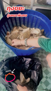 ถุงขยะดำ 5 แพ็ค ขนาด 36x45 นิ้ว รุ่นแบบหนาเหนียว ดึงได้ทีละใบ ถุงขยะ