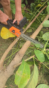 เครื่องเลื่อยไฟฟ้าไร้สาย JUMBO 11.5 นิ้ว ตัดไม้ได้แรง ครบชุดพร้อมใช้งาน ส่งฟรี มีประกัน เก็บเงินปลายทาง ของแท้ ส่งไวจากไทย