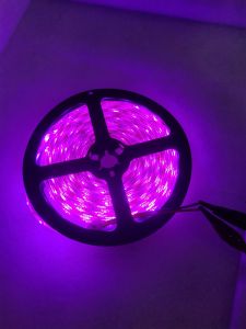 Lampu Roll 5050 5meter 24v-Lampu neon 24v 5 meter led kecil harga 1 Biji