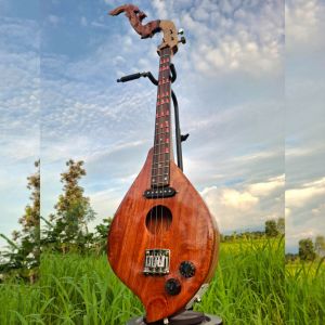 พิณโปร่งไฟฟ้า