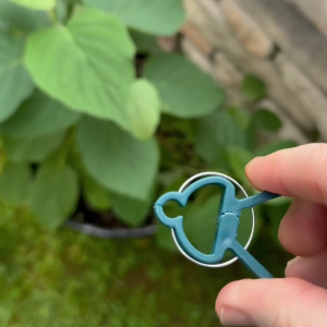 คลิปแก้ไขโรงงานปีนเขา /Green Snap 100pcs คลิปพืช/ ผักเถาวัลย์ดอกไม้ผลไม้และกิ่งไม้แก้ไขคลิป/ คลิปพืชสวนใช้งานง่ายและสามารถใช้ซ้ำได้