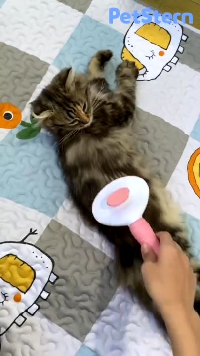 Petcho แปรงหวีขนแมวสุนัข มีปุ่มกดดันขนออก ทำความสะอาดง่าย