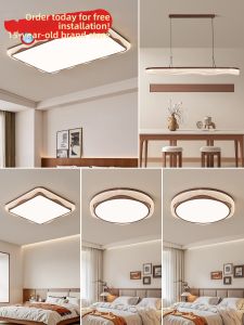DGY | Retro Style Creamy Aesthetic Eye-Protecting Ceiling Light