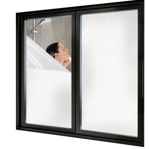 REVGUEN | Privacy Protecting Light Transmissive Opaque Window Film