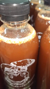 เชื้อเห็ดโคน เห็ดปลวกดอกใหญ่ แพ๊คคู่ รวม 2 ขวด ราคาประหยัด