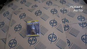 Mata Bor Sikat Kawat 24mm Hasston