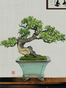Chinese Style Emulational Fake Tree Plum Blossom Arborvitae Red Maple Gardening Florals Bonsai Decoration Landscape Tree Living Room Home Fake Green Plant