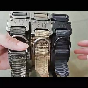 ปลอกคอสูงสุด ปลอกคอไนล่อน สูงสำหรับสุนัขฝึกกลางแจ้ง ปลอกคอไนลอนทหาร หัวเข็มขัดโลหะ