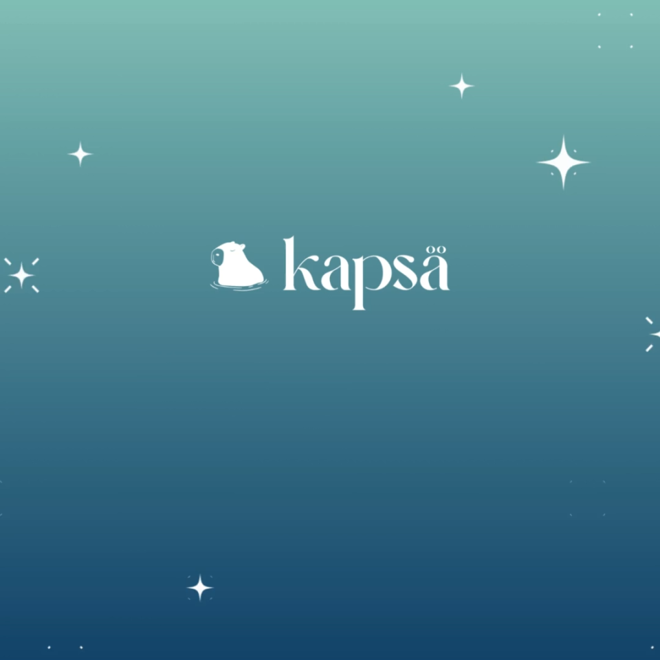 Kapsa Capybara Night Light Blind Box | Limited Edition Collectible with Laundry Pods