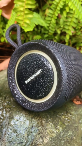 BLAUPUNKT Dynamic Bluetooth Speaker – Big Sound Pocket-Sized Power