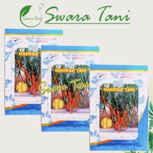 Benih CMK cabai anvi MAHESA TAVI 10gram Original
