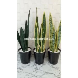 Pohon Artificial Daun Lidah Mertua Latex Pot Effiel Plastik Tanaman Hias Sansevieria Imitasi Pajangan Dekorasi Rumah