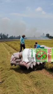 KILL GRASS 1000ML PURE ORGANIC MADE - weed controller