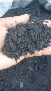 Sebuk Arang Kayu  Media Tanam Biochar  1 kilogram