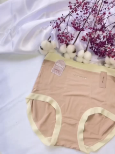 NJ COLLECTION 2/3/5pcs Thermal Tummy High Waist Panties Women Warm Soft Ultra Stretch Comfort | Seluar Dalam Thermal Perut Wanita Lembut Selesa | 女士高腰保暖内裤