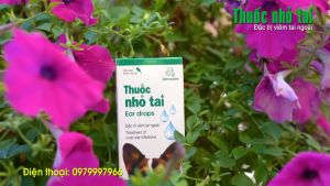 Nhỏ tai chó mèo Vemedim viêm tai ngoài ghẻ tai do vi kh.uẩn nấm cho chó mèo