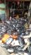 alat motor mobil DLL,,