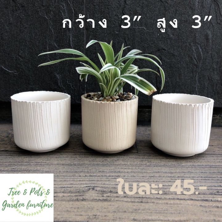 กระถางดินเผาสีขาว 3 นิ้ว สำหรับปลูกแคคตัสและไม้อวบน้ำ