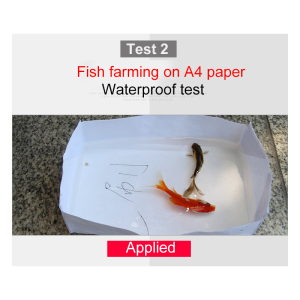 One brush to stop leakage Transparent waterproof glue Send brush Waterproof for 100 years waterproof glue for roof Repair leaks in exterior walls roofs toilets bathrooms waterproof glue for leaking 透明防水胶 防水补漏胶 waterproofing coating roof leaking repair