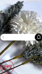 Crop Top Wanita FINEMOUSE Rib (LD 88 P 40)