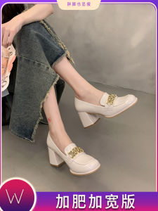 Fat Feet Wide Womens Shoes Plus Size High Heels 41-43 Loafers JK Leather Shoes Mary Jane Shoes Chunky Heel plus Size
