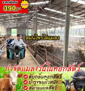 รีวิว จากผู้ใช้จริง ชัยวาน น้ำยาไล่ยุง กันยุง ไล่แมลง ขนาด 1 ลิตร ⭐️แถมฟรี⭐️หัวฉีดฟ็อกกี้ 1 ชิ้น Chiwan ผลิตจากสารสกัดธรรมชาติ 100%